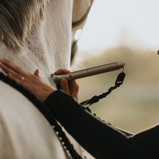 PowerMedic PowerLaser Basic1200 VET - PowerMedic - Cold Laser Supplies