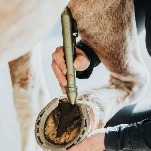 PowerMedic PowerLaser Basic500 VET - PowerMedic - Cold Laser Supplies